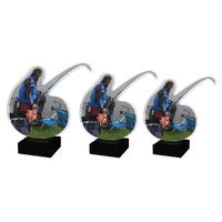 085: Vissen Acryl ST-VI001