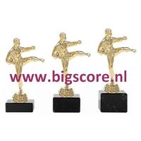 Karate Heer Goud 423-G