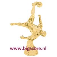 Voetbal Omhaal Heer 5017-G