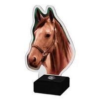 070: Paardenhoofd Acryl ST-PA001