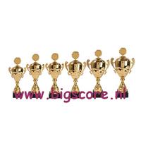 AK5136 Beker Goud met oren