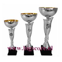 AK5581 Beker Zilver-Goud