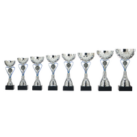 AK5570 Beker Goud-Zilver