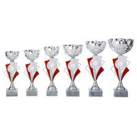 AR1028 Beker Rood-Zilver