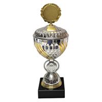 275: AUB 195 Beker Goud-Zilver