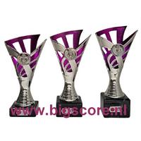 019: AUB 029 Beker Paars-Zilver