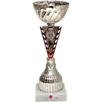 108: AUB 548 Beker Rood-Zilver