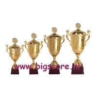 AX9230 Grote beker Goud