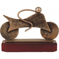 Motorrace Metaalbeeld BEL228