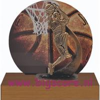 Basketball Metaalbeeld TRK784