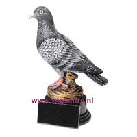 Duif BSST 39744