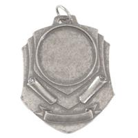 024: E 140 Medaille Antiek Zilver