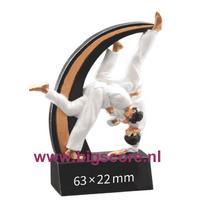 Judo 39804