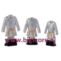 Judo-Karate Resinbeeld BSST 39124