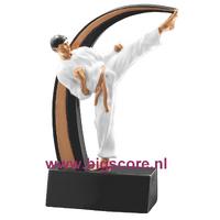 Karate 39806