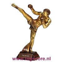 Kickboksen 39649-39696