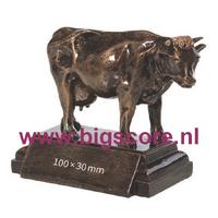 Koe 39335