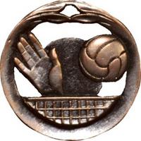 Volleybal goud-zilver-brons