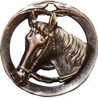 Paardenhoofd goud-zilver-brons