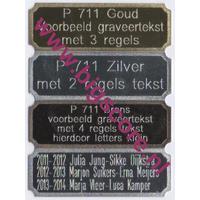 B: P711 17 x 50 mm G/Z/B Graveerplaatje