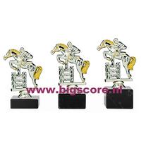 073: Paardspringen Z/G ST-PA004