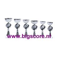Z509 Beker Zilver