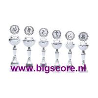 Z527 Beker Zilver
