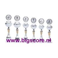 Z528 Beker Goud-Zilver